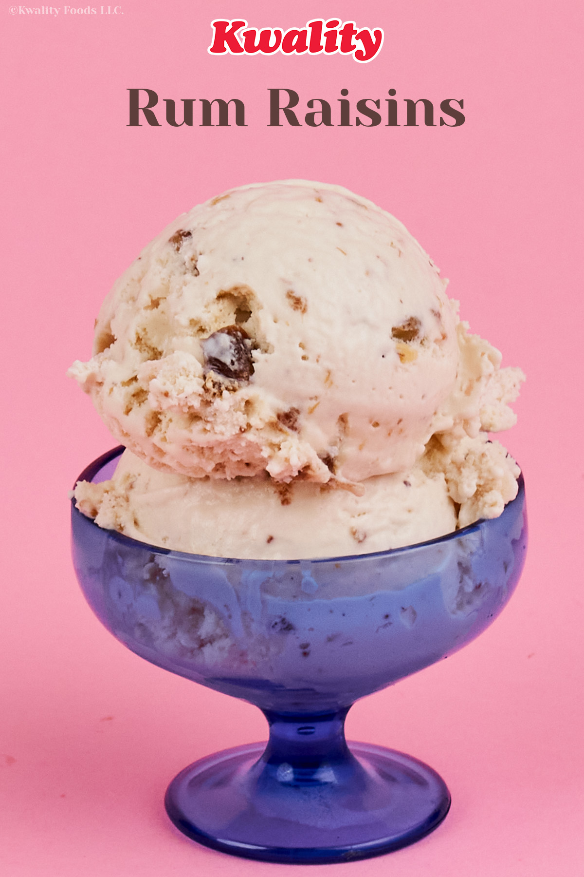 Rum Raisin ice cream
